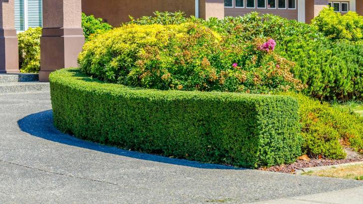 Création de jardin japonais Île-de-France