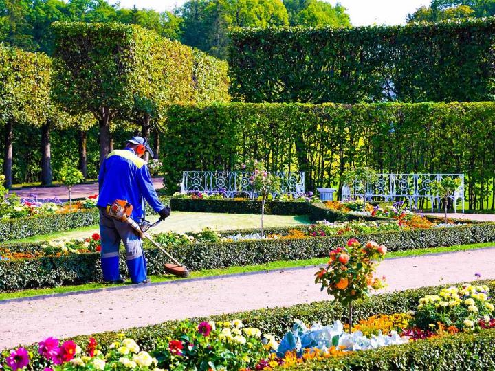 Nous pouvons transformer un terrain en friche en un magnifique jardin japonais…